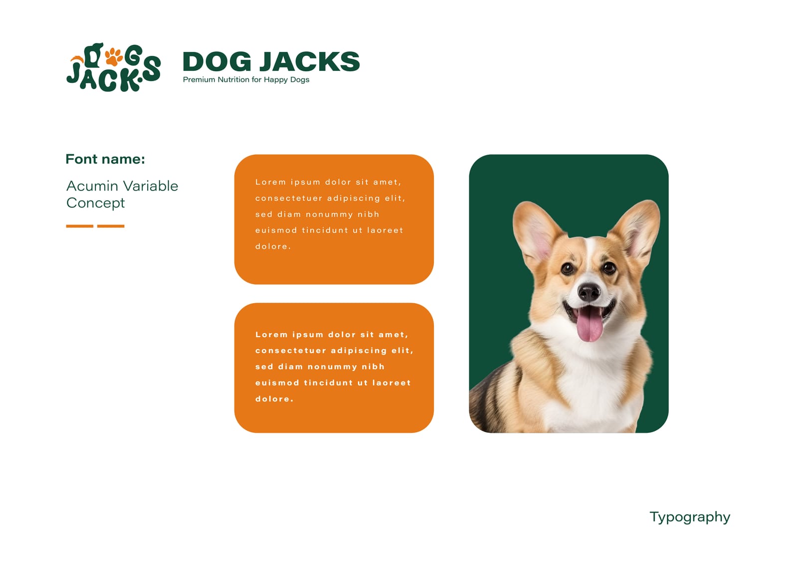 Dog Jacks — Brand Identity & Style Guide — project image