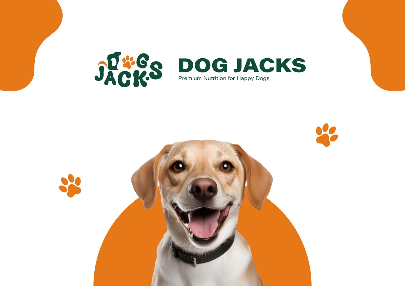 Dog Jacks — Brand Identity & Style Guide — project image