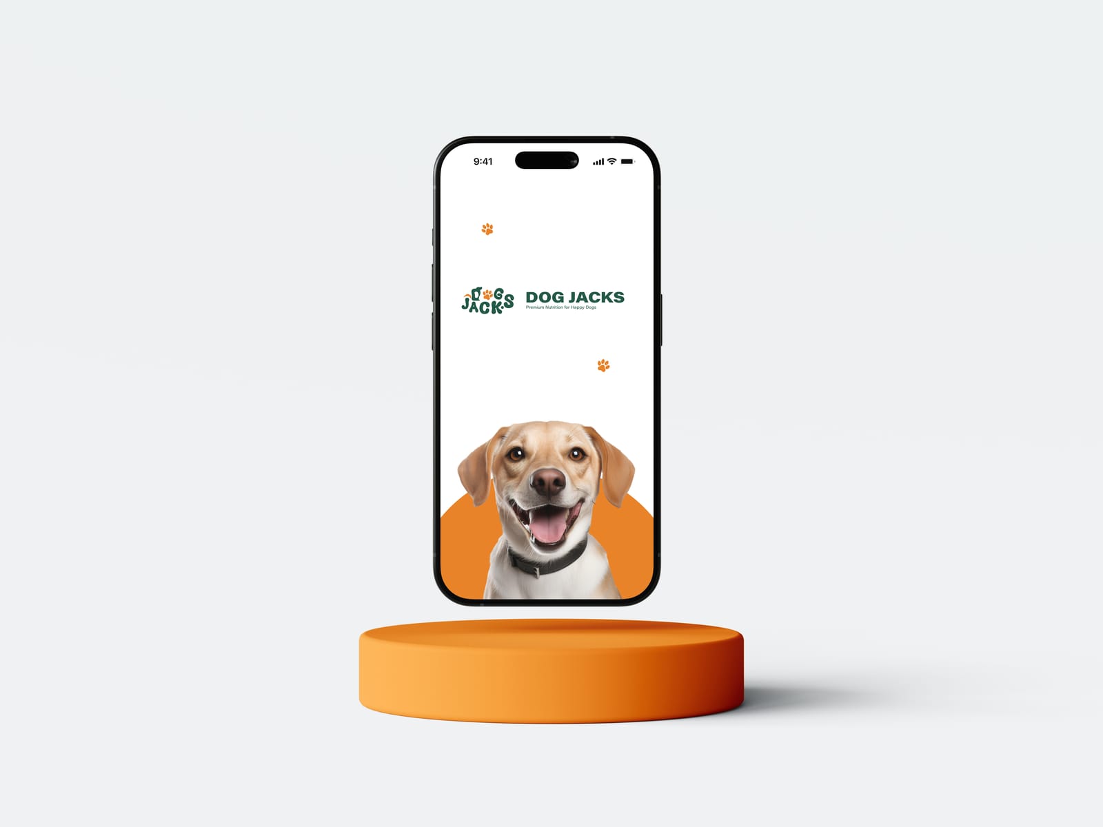 Dog Jacks — Brand Identity & Style Guide — project image