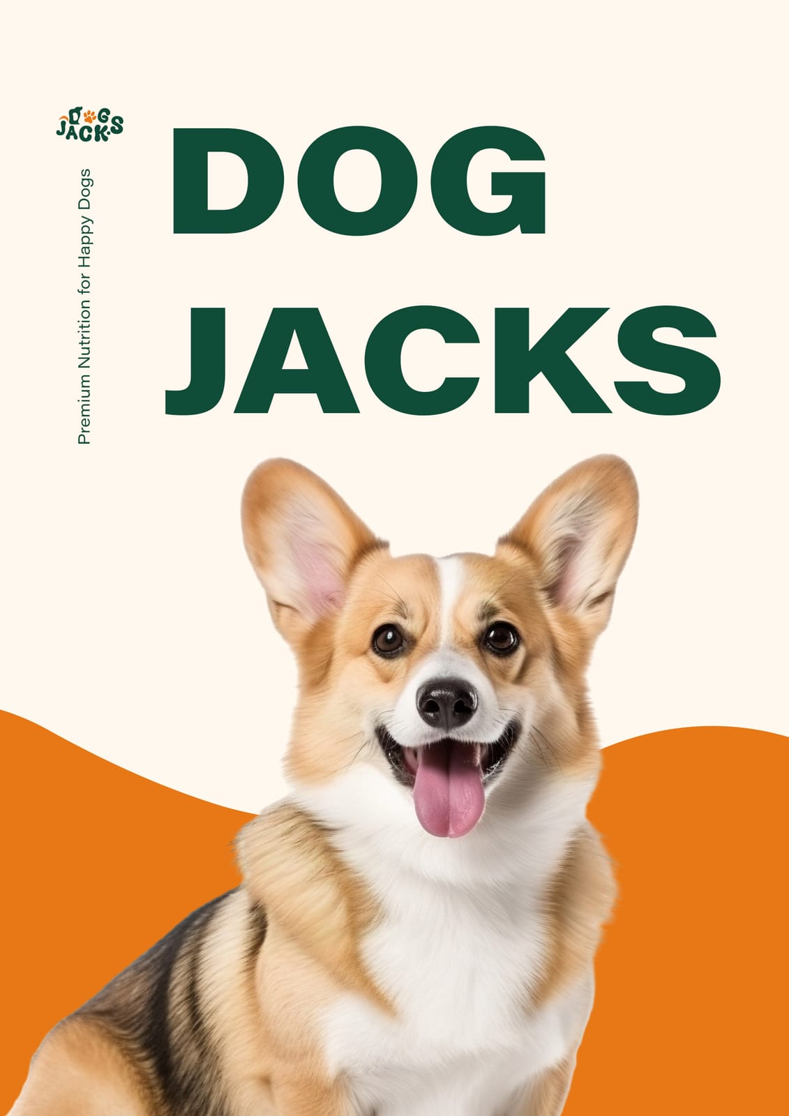 Dog Jacks — Brand Identity & Style Guide — project image