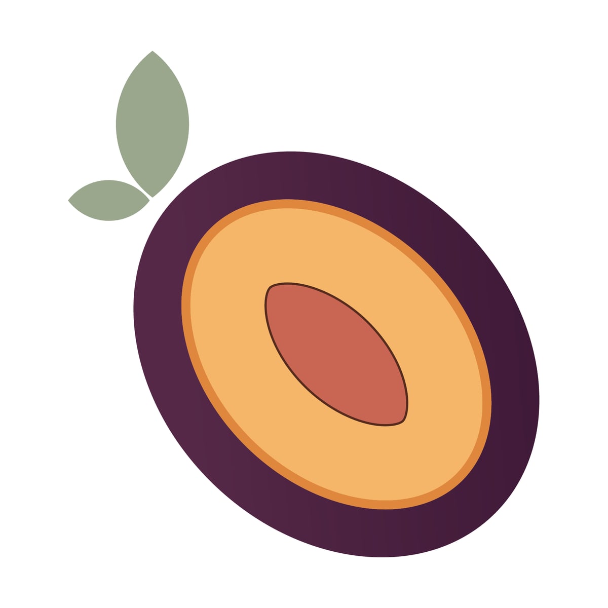 Prune — Brand Identity — project image